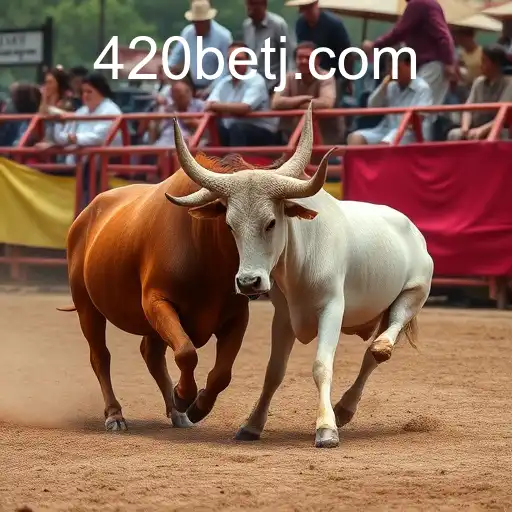 Rinha de galos